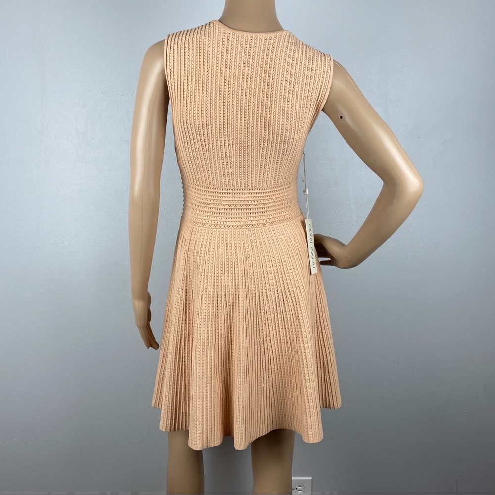 NEW RONNY KOBO REVOLVE SLEEVELESS SKATER MINI DRESS - Picture 7 of 8